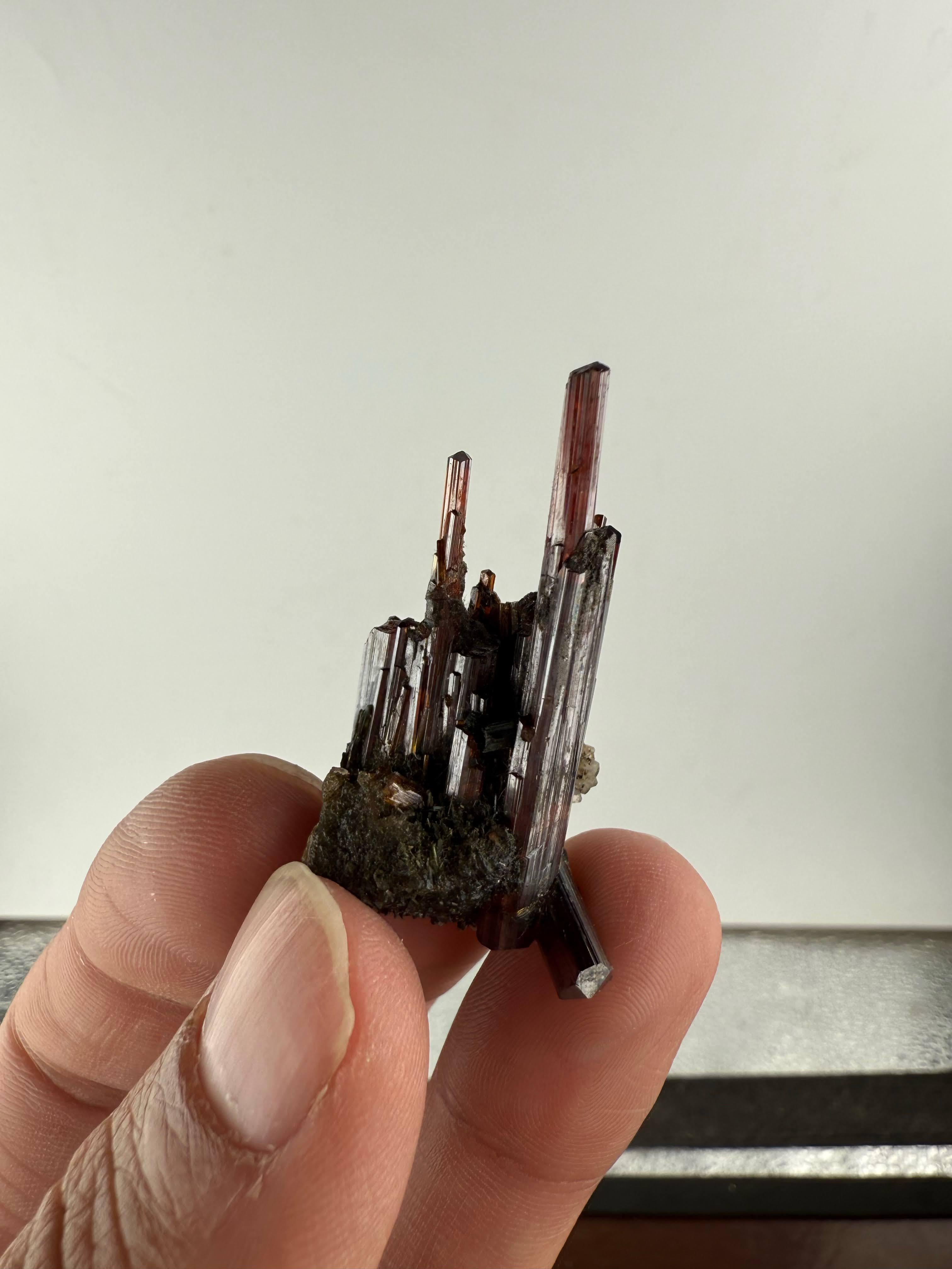 Pakistano Esemplare naturale di cluster di rutilo proveniente dal Pakistan in vendita