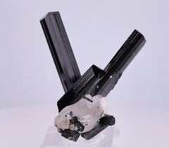 Natural Specimen Of Schorl Black Tourmaline On Quartz Crystals From Pakistan