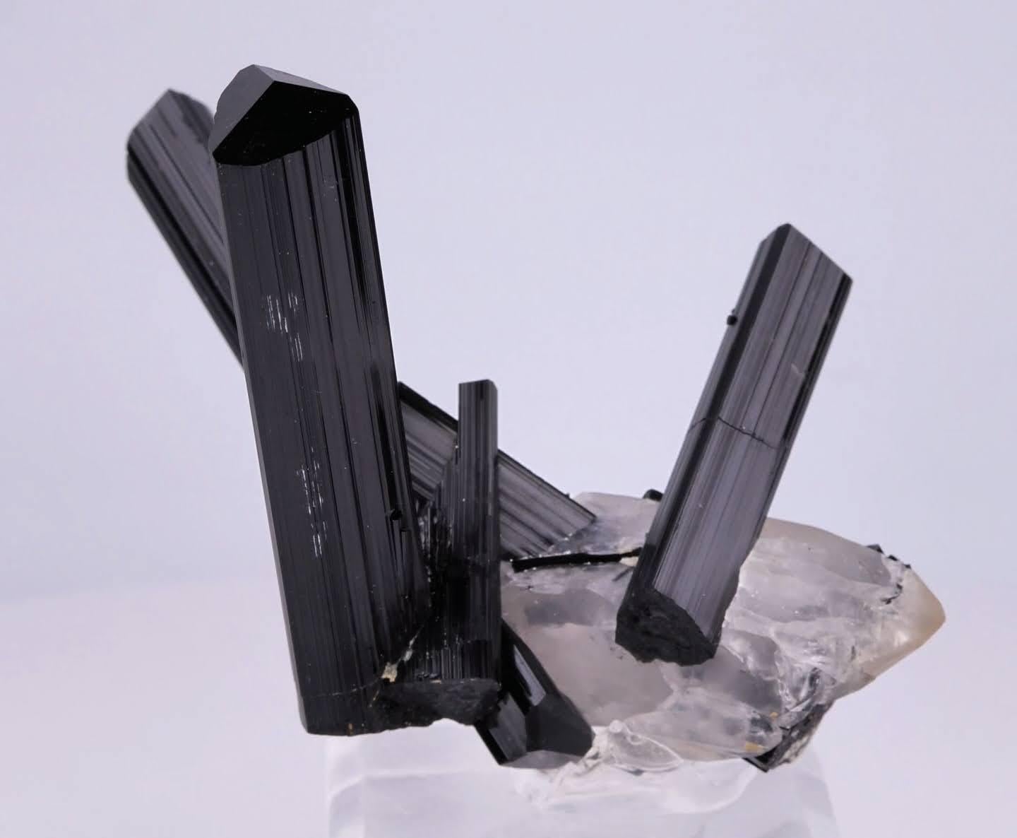 Art Déco Natural Specimen Of Schorl Black Tourmaline On Quartz Crystals From Pakistan in vendita