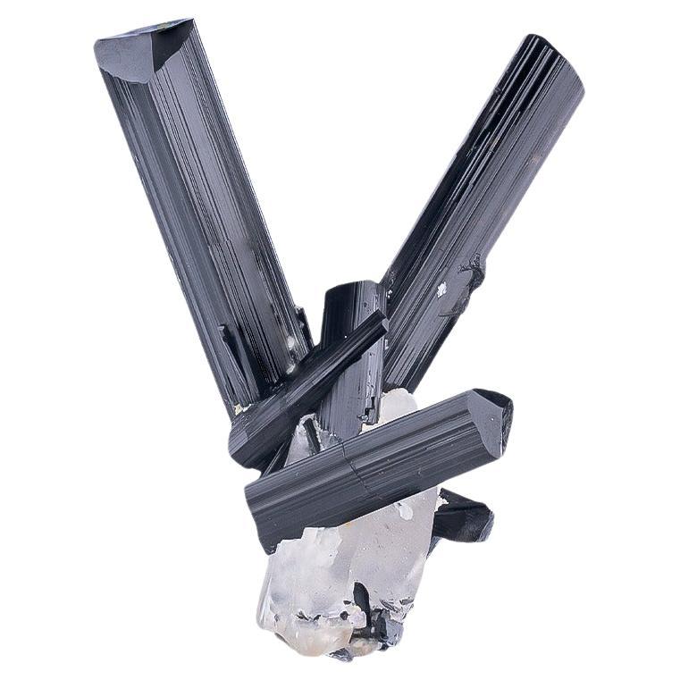 Natural Specimen Of Schorl Black Tourmaline On Quartz Crystals From Pakistan