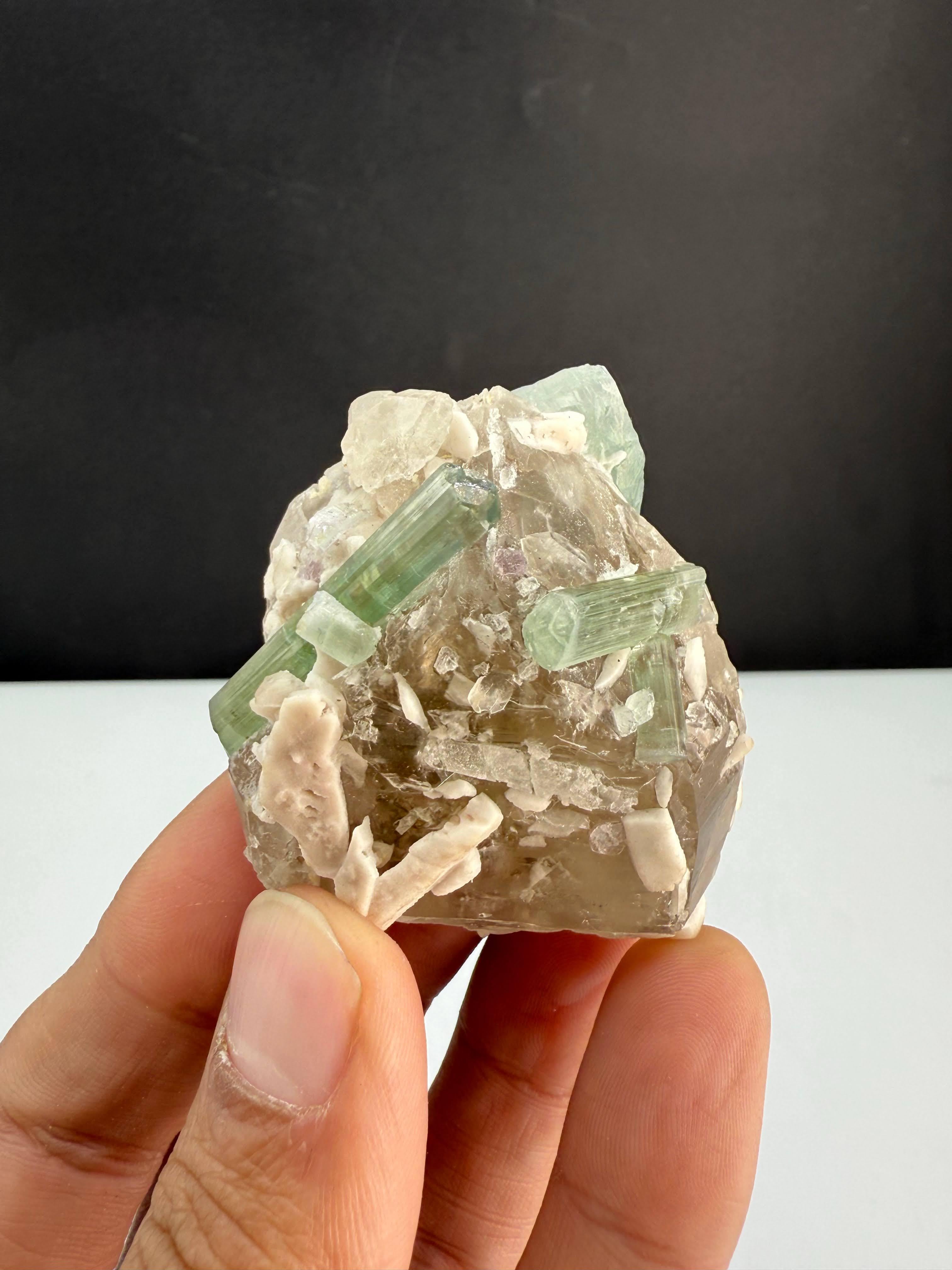 Natural Specimen Of Tourmaline Crystals On Smoky Quartz From Afghanistan For Sale 6