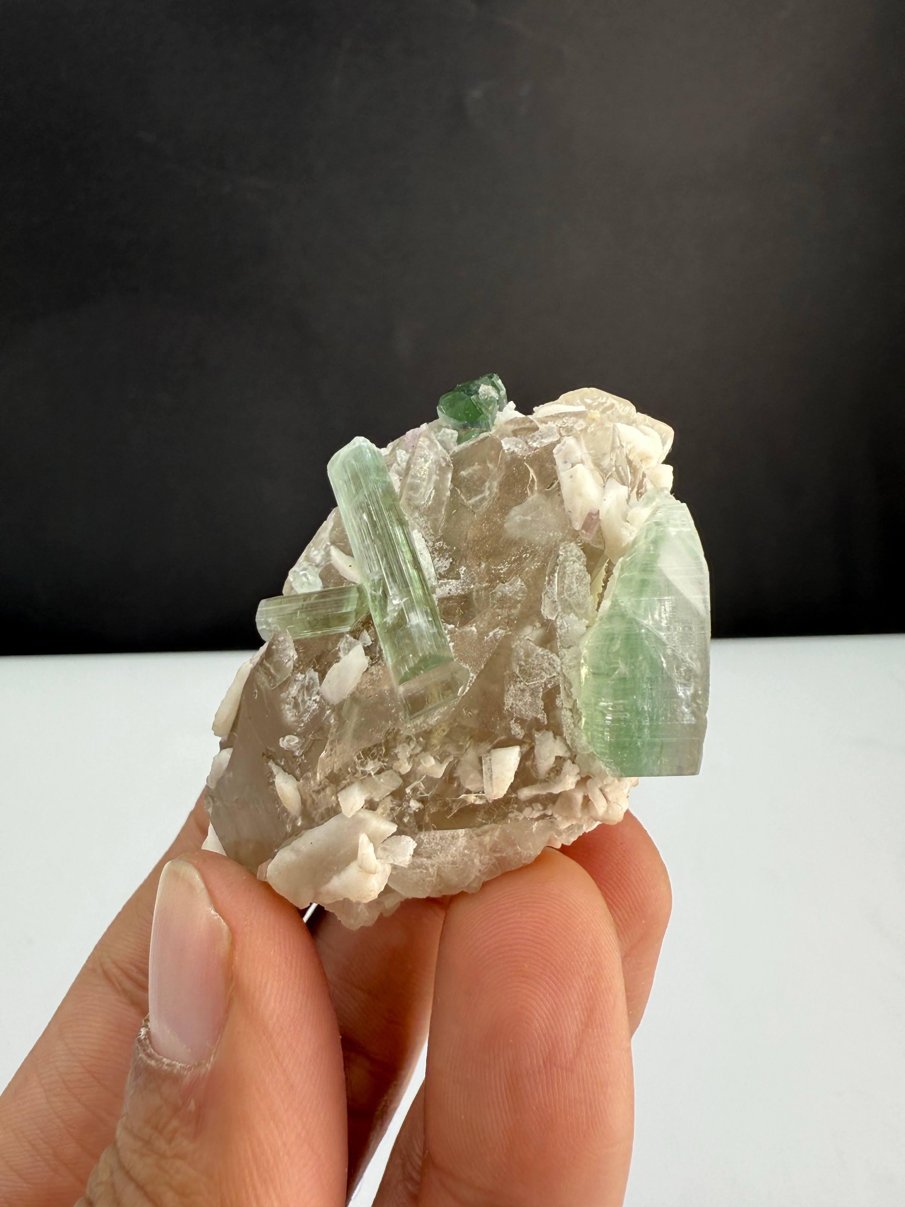 Contemporary Natural Specimen Of Tourmaline Crystals On Smoky Quartz From Afghanistan For Sale