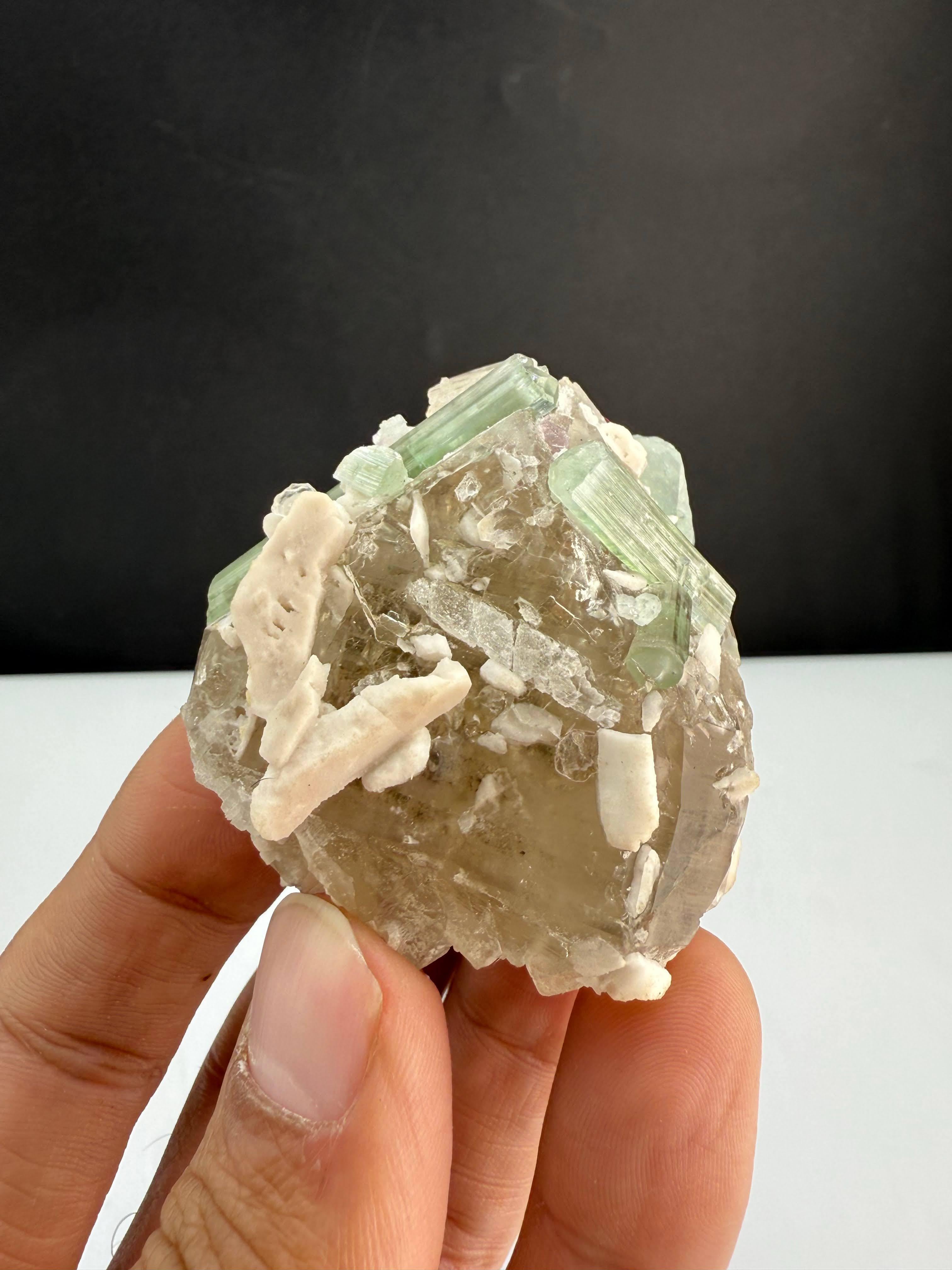 Natural Specimen Of Tourmaline Crystals On Smoky Quartz From Afghanistan For Sale 2