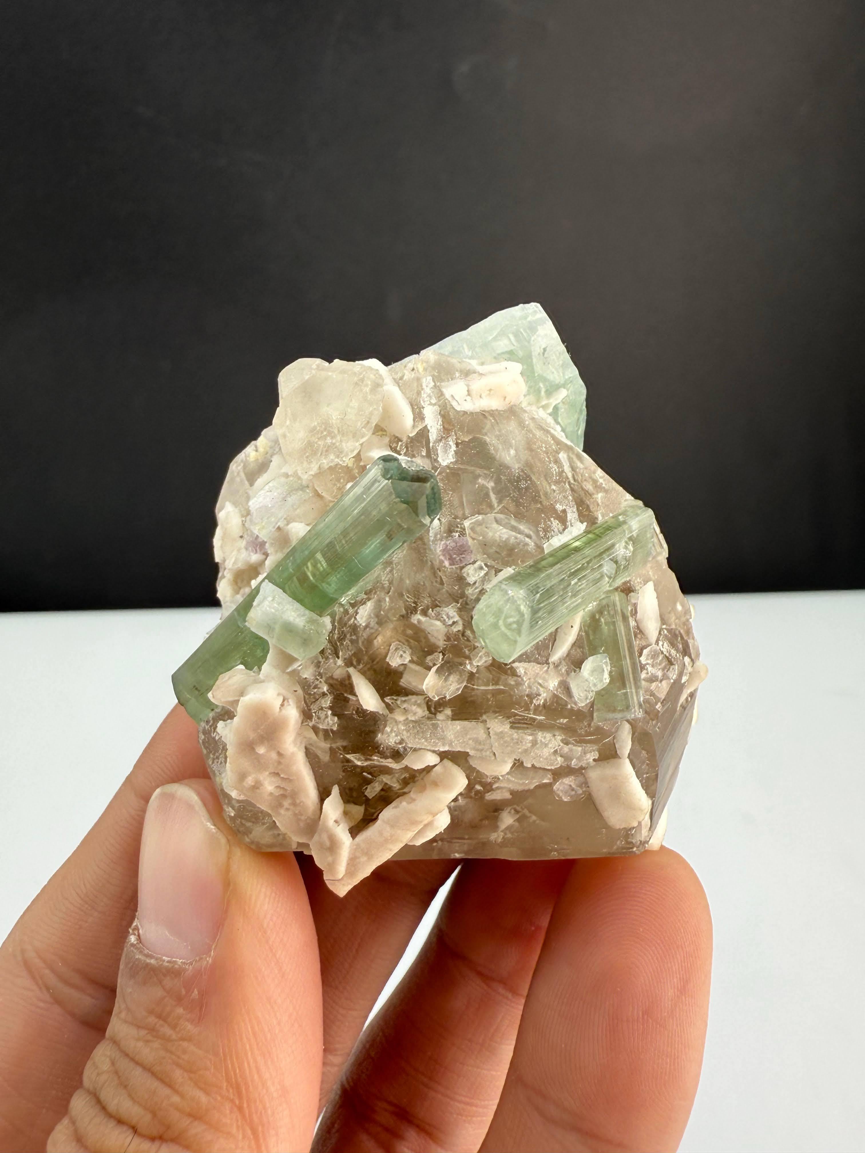 Natural Specimen Of Tourmaline Crystals On Smoky Quartz From Afghanistan For Sale 3