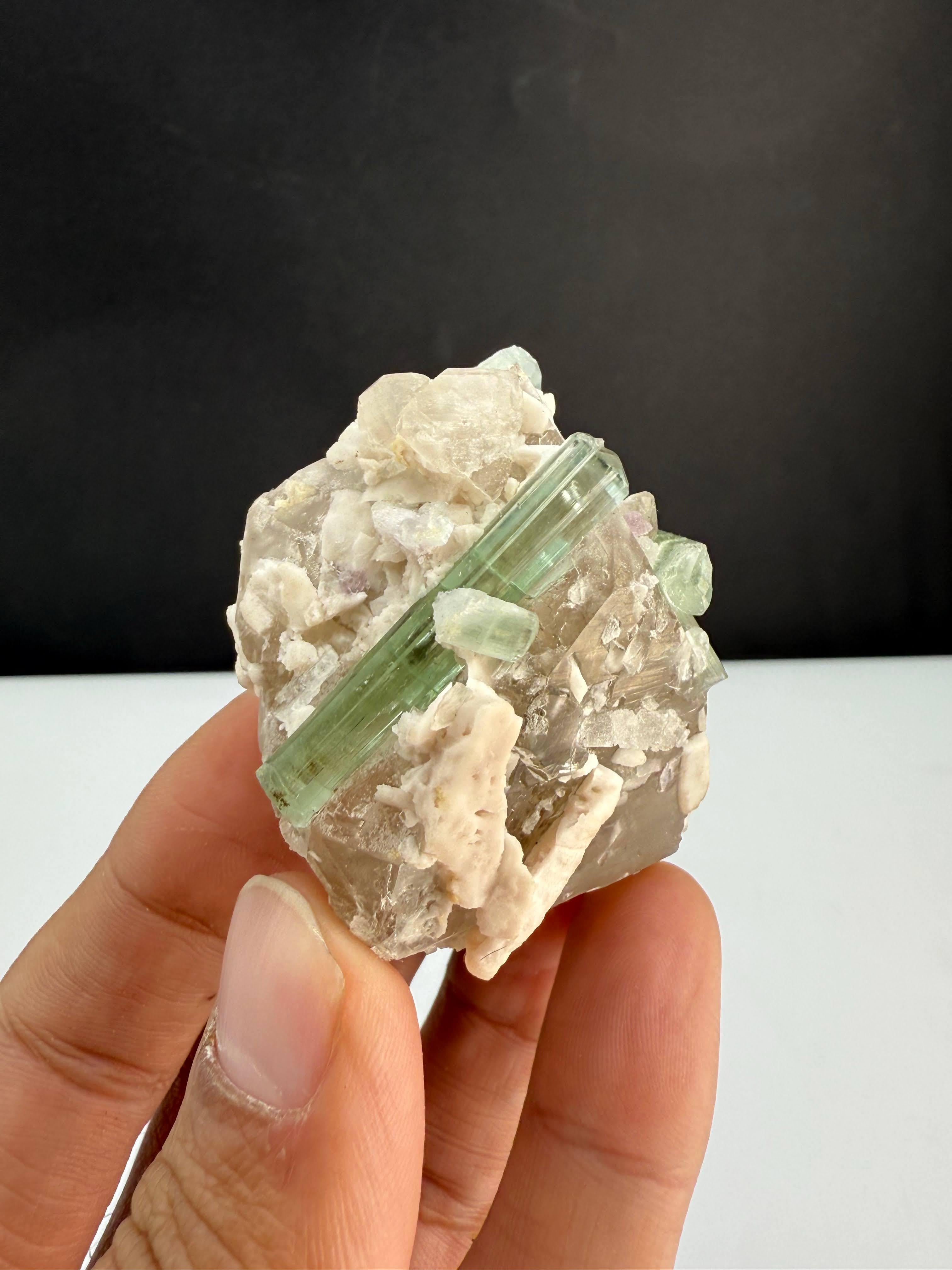 Natural Specimen Of Tourmaline Crystals On Smoky Quartz From Afghanistan For Sale 4