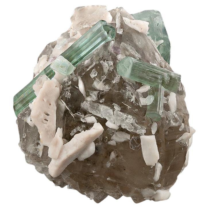 Esemplare naturale di cristalli di tormalina su quarzo fumé dall
Afghanistan