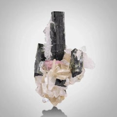 Natural Specimen Of Tourmaline Crystals With Apatite From Pakistan