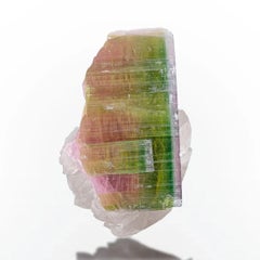 Spécimen naturel de tourmaline sur quartz fumé provenant d'Afghanistan