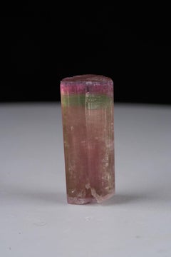 Spécimen naturel de tourmaline tricolore, cristal de 13 grammes provenant d'Afghanistan