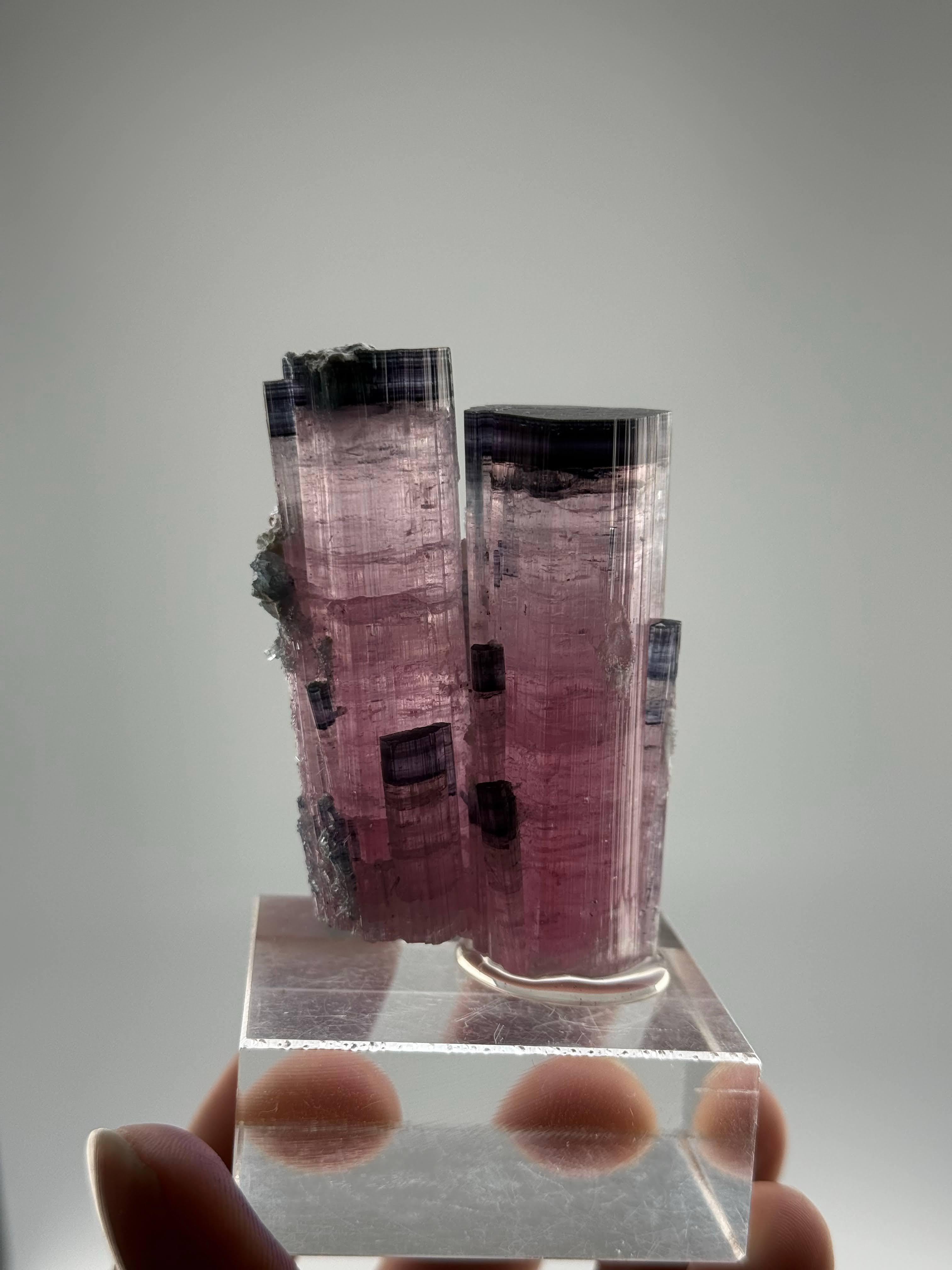 Esemplare naturale di cristalli gemelli di tormalina blu CAP provenienti dall'Afghanistan in vendita 3