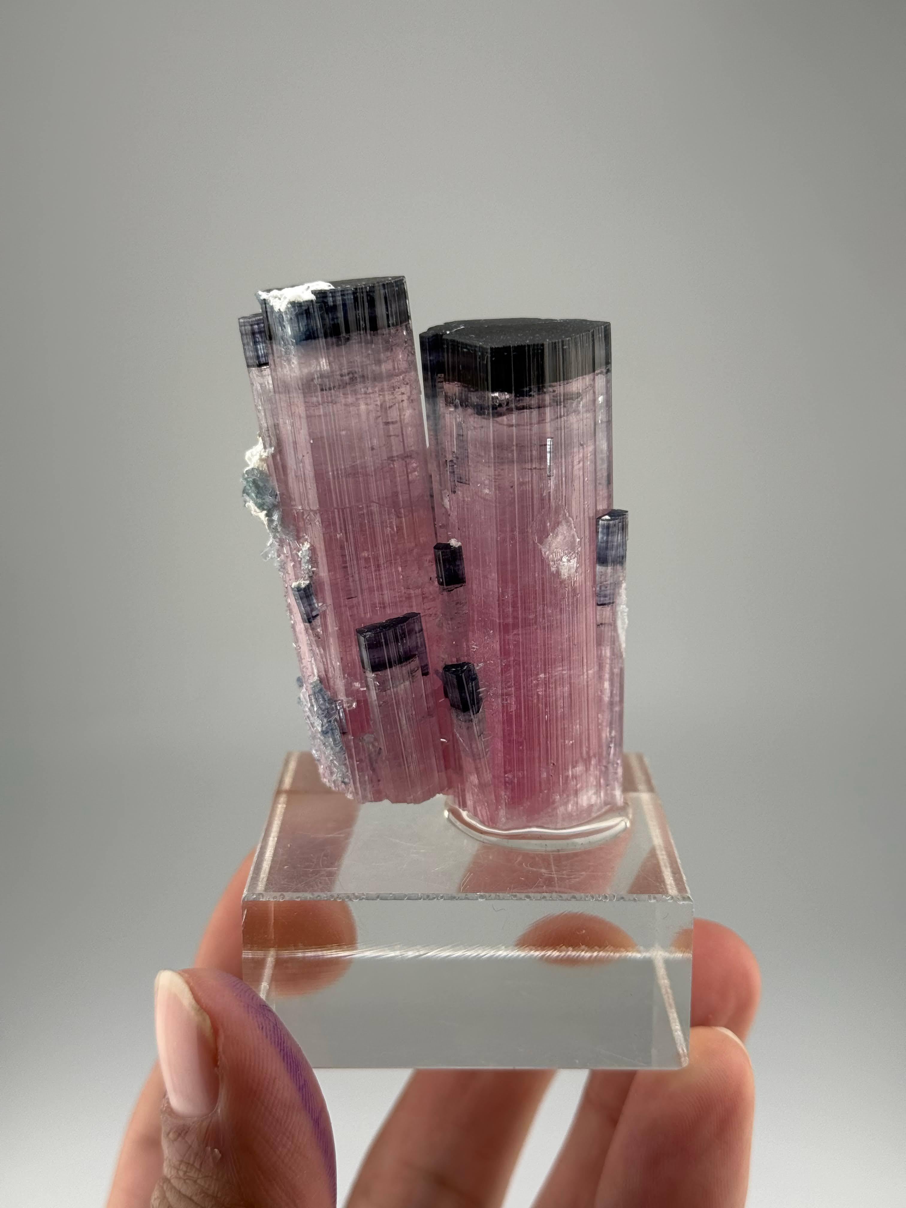 Esemplare naturale di cristalli gemelli di tormalina blu CAP provenienti dall'Afghanistan in vendita 4