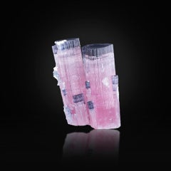 Natural Specimen Of Twin Bi Color Blue Cap Tourmaline Crystals From Afghanistan