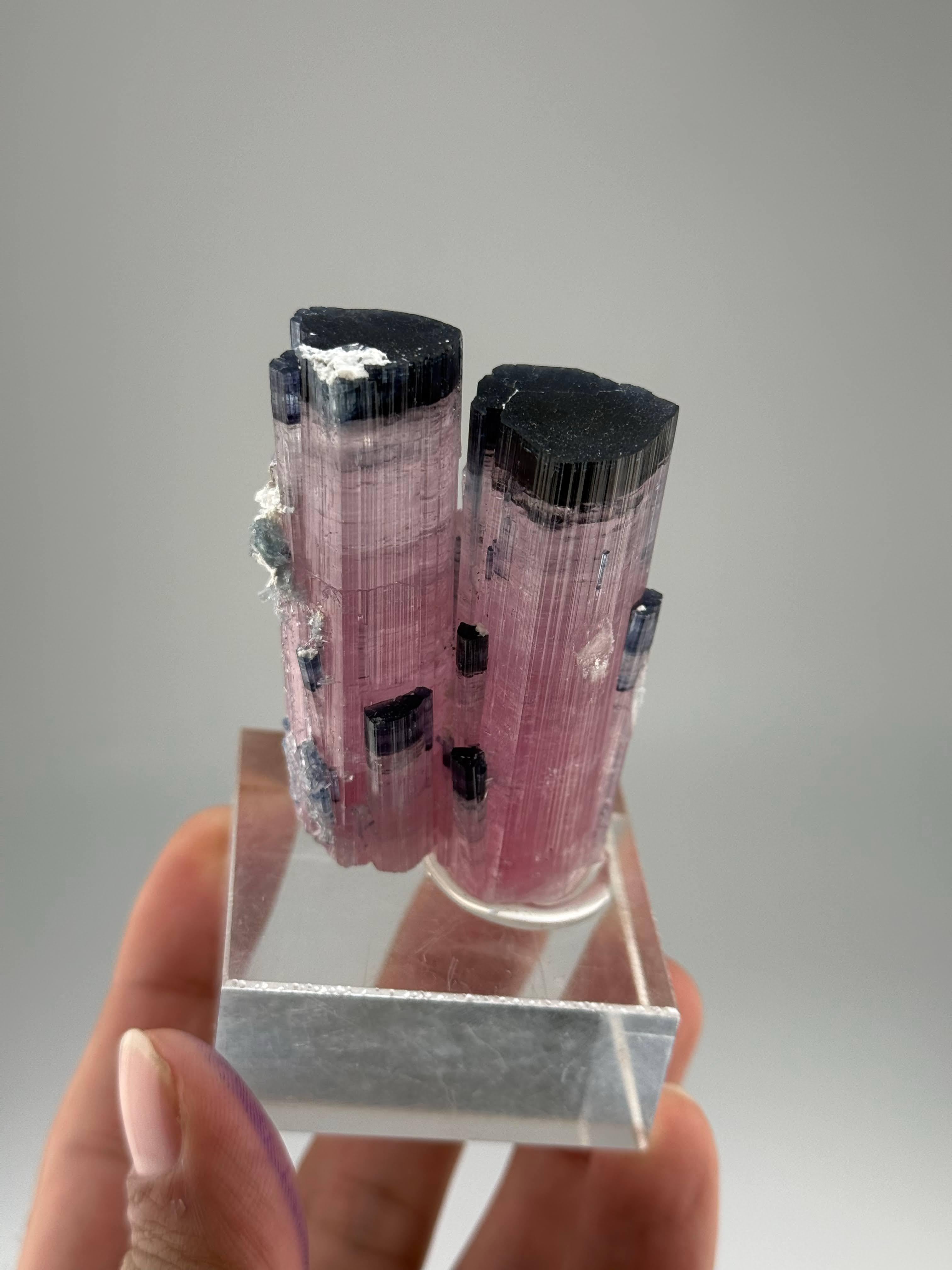 Afghano Esemplare naturale di cristalli gemelli di tormalina blu CAP provenienti dall'Afghanistan in vendita