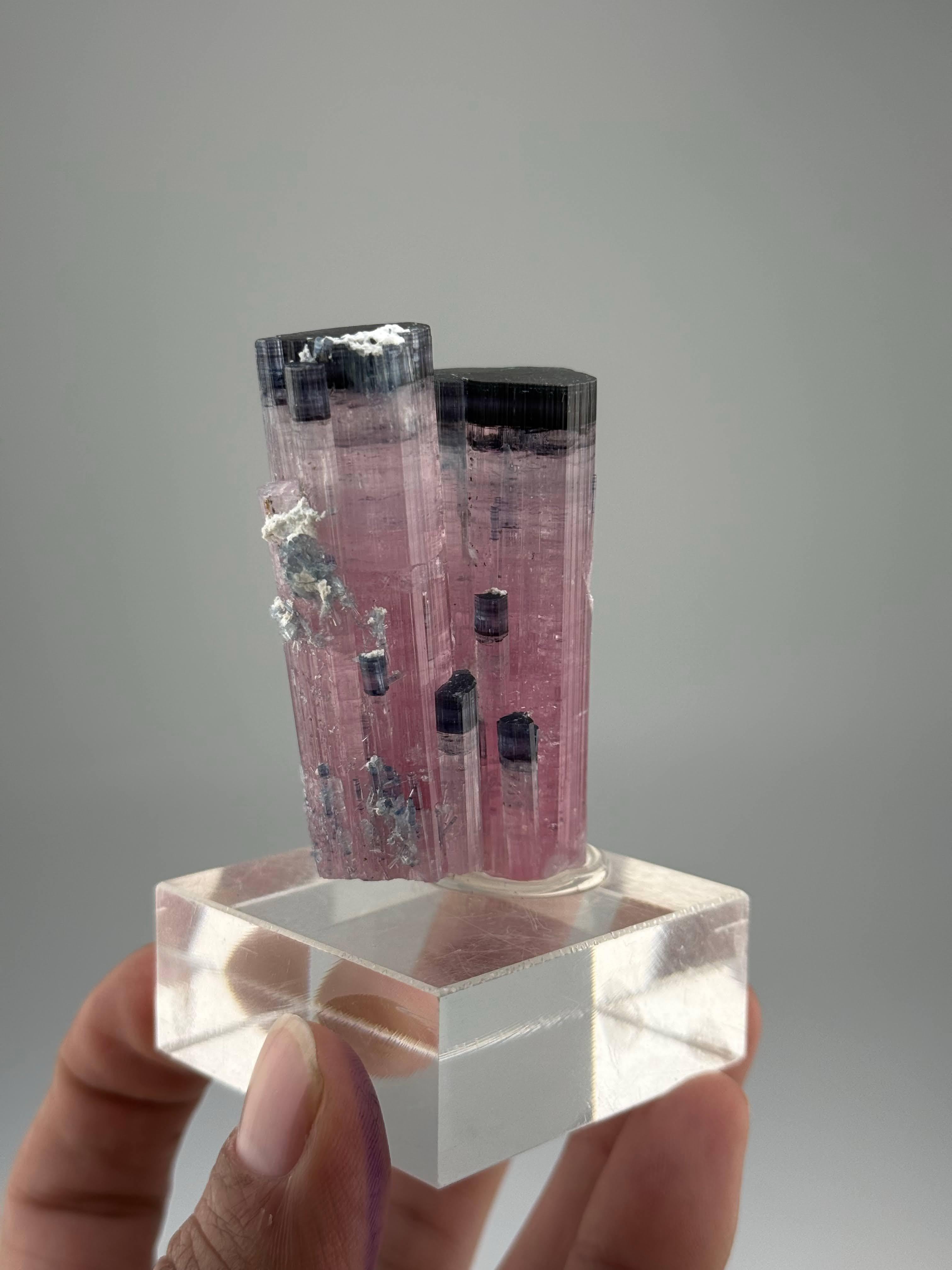 Cristallo Esemplare naturale di cristalli gemelli di tormalina blu CAP provenienti dall'Afghanistan in vendita