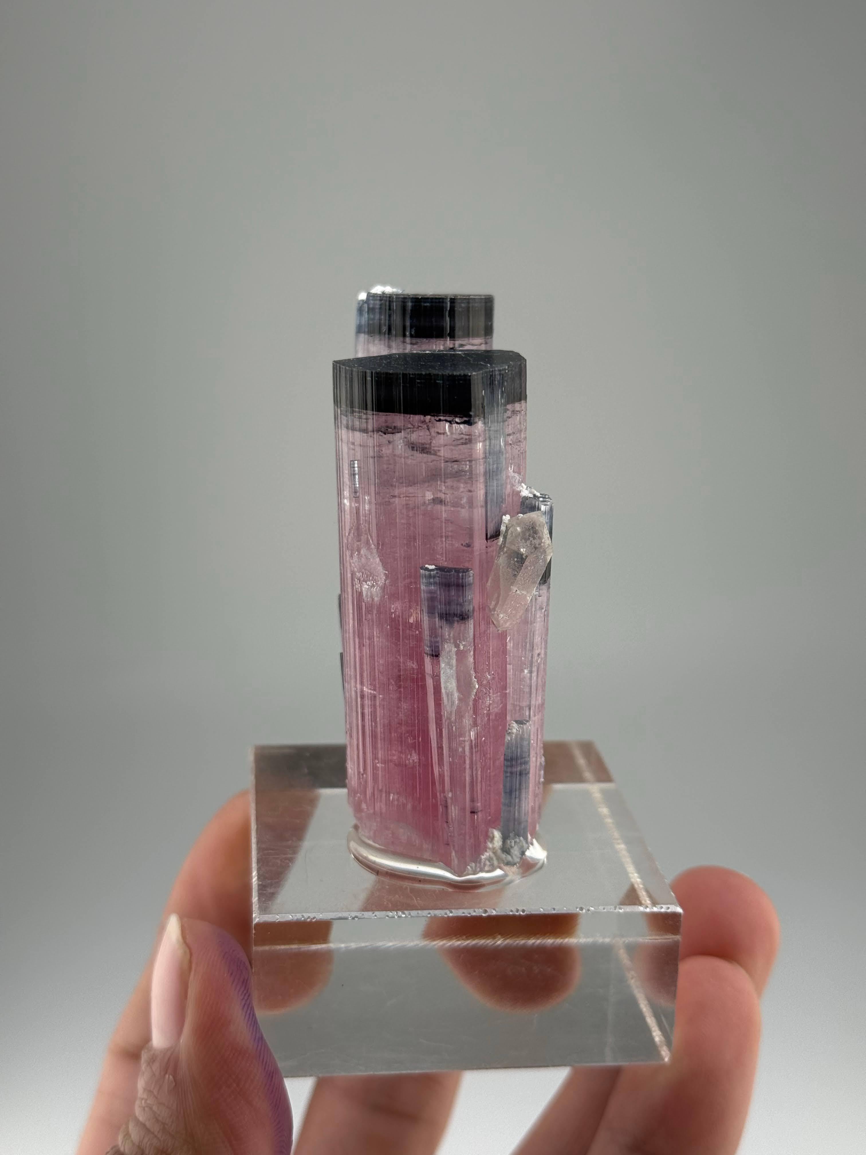 Esemplare naturale di cristalli gemelli di tormalina blu CAP provenienti dall'Afghanistan in vendita 1