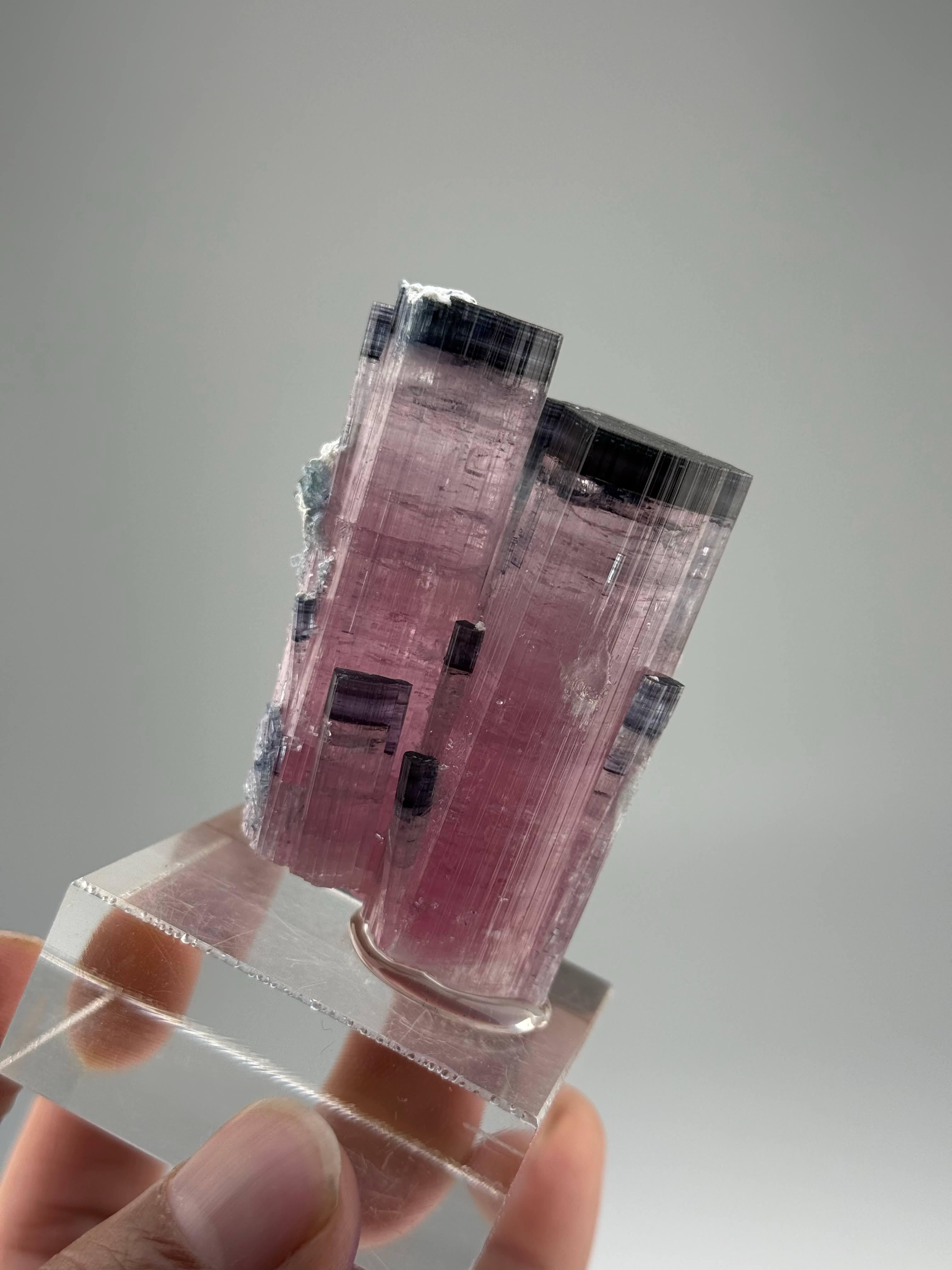 Esemplare naturale di cristalli gemelli di tormalina blu CAP provenienti dall'Afghanistan in vendita 2