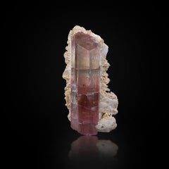 Natürliches Exemplar von einzigartiger Farbe Turmalin auf Cleavelandit aus Afghanistan