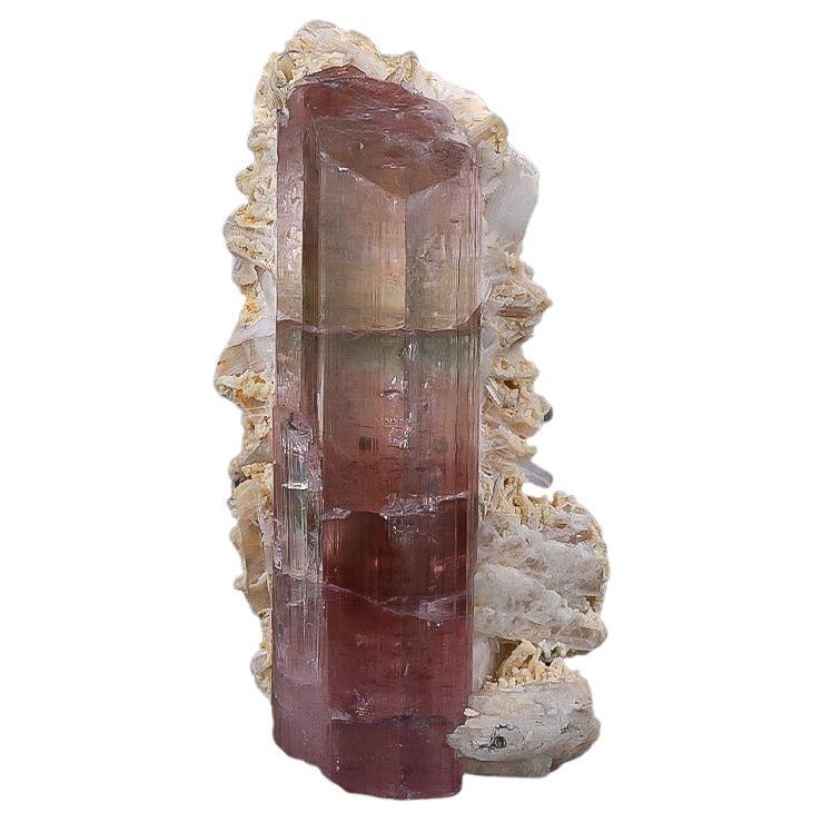 Natural Specimen Of Unique Color Tourmaline on Cleavelandite From Afghanistan