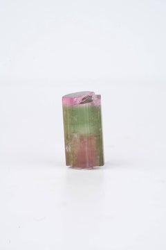 Natural Specimen Of Vibrant Bicolor Tourmaline 3.5 Gram Crystal From Afghanistan