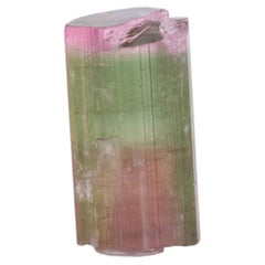 Natural Specimen Of Vibrant Bicolor Tourmaline 3.5 Gram Crystal From Afghanistan