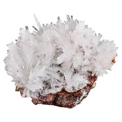 Natural Specimen Of White Aragonite Cluster On Limonite From Pakistan