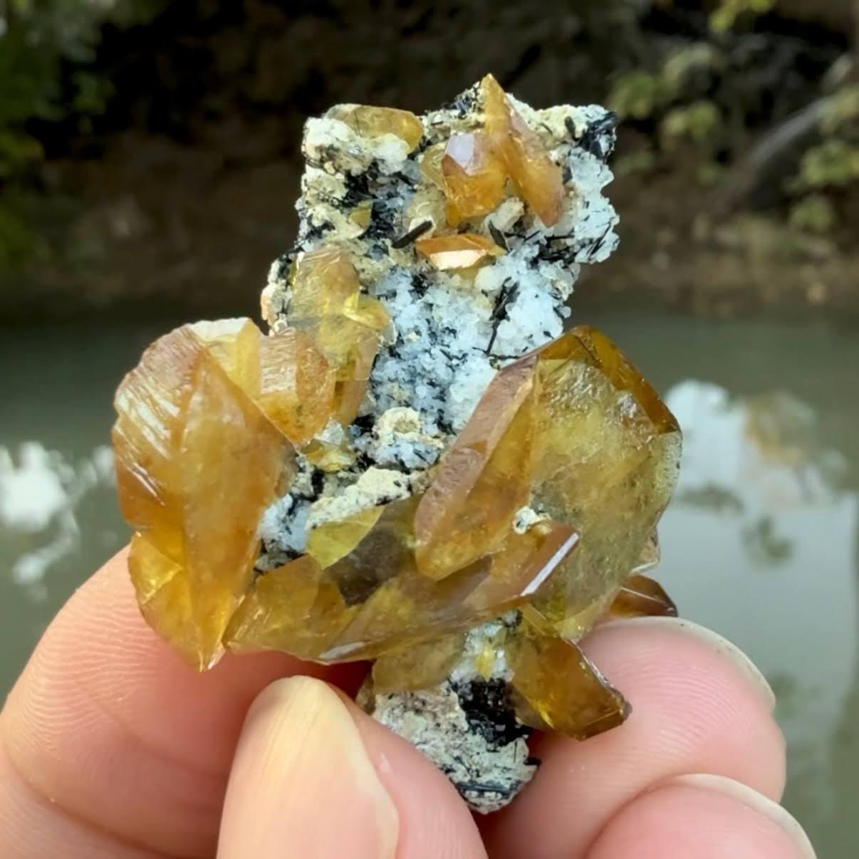 Type de spécimen : Sphène avec Aegirine
Poids : 15 grammes
Dimensions : H : 4 x L : 3,3 x P : 1,5 cm 
Origine : Montagnes Zagi, province de KPK, Pakistan 
Traitement : Aucun




Ce spécimen naturel saisissant présente un cristal de Sphène jaune