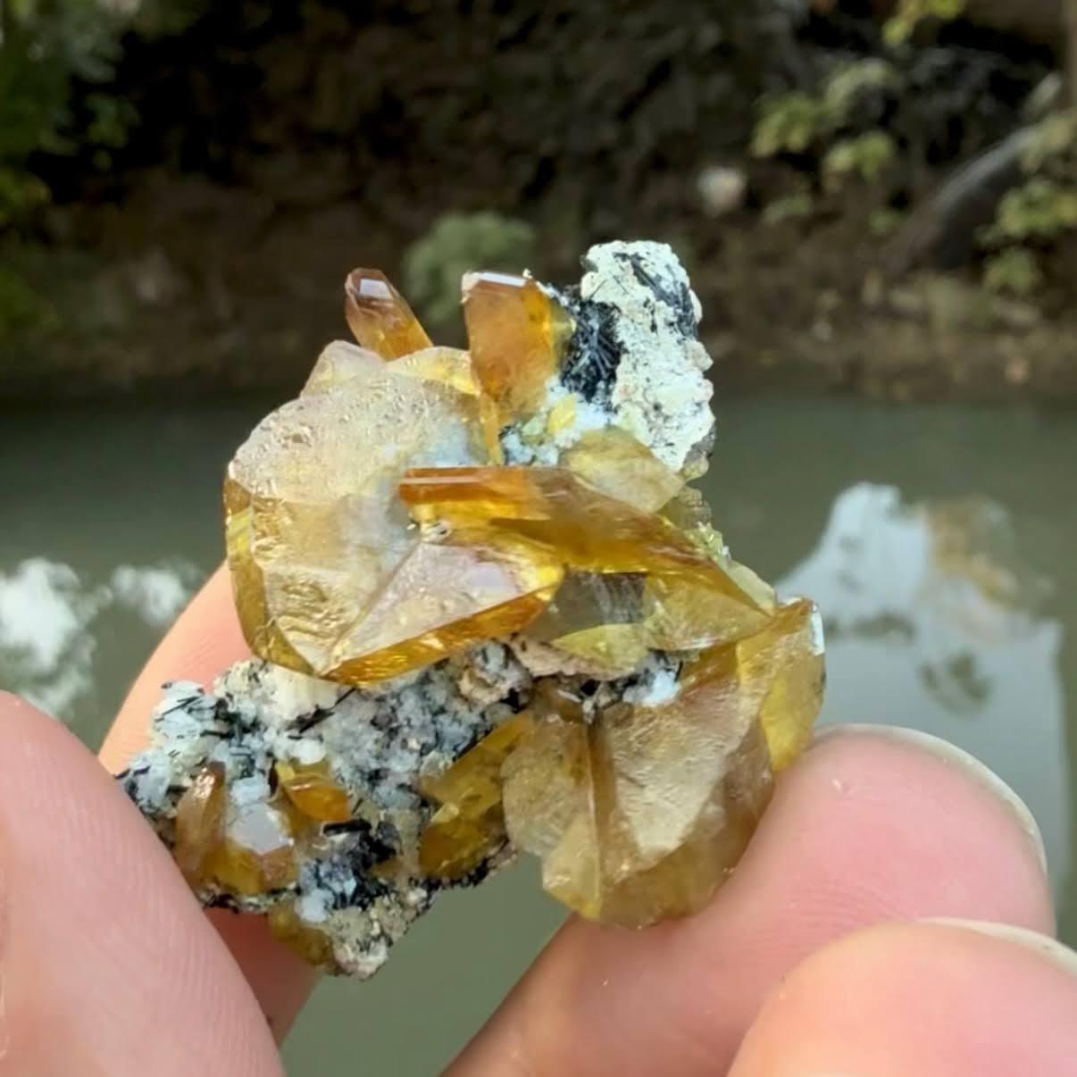 Cristal Spécimen naturel de sphène jaune avec aegirine du Pakistan en vente