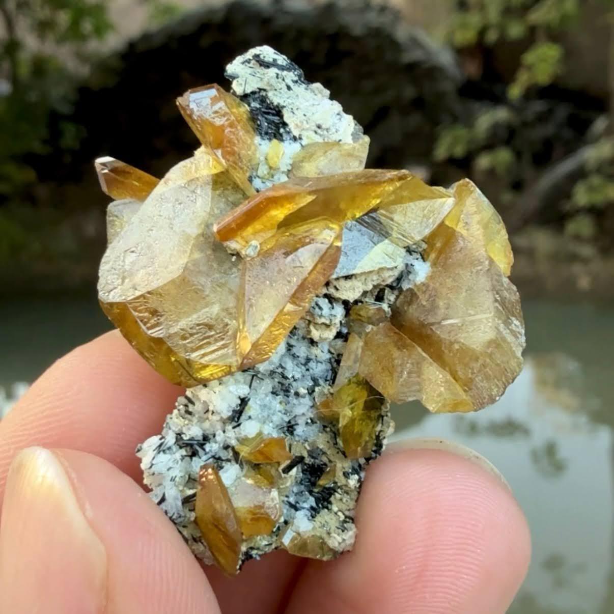 Spécimen naturel de sphène jaune avec aegirine du Pakistan en vente 2