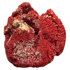 Natural Specimen Red Pipe Organ Coral