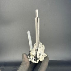 Natural Specimen Schorl Black Tourmaline Crystals on Quartz from Pakistan