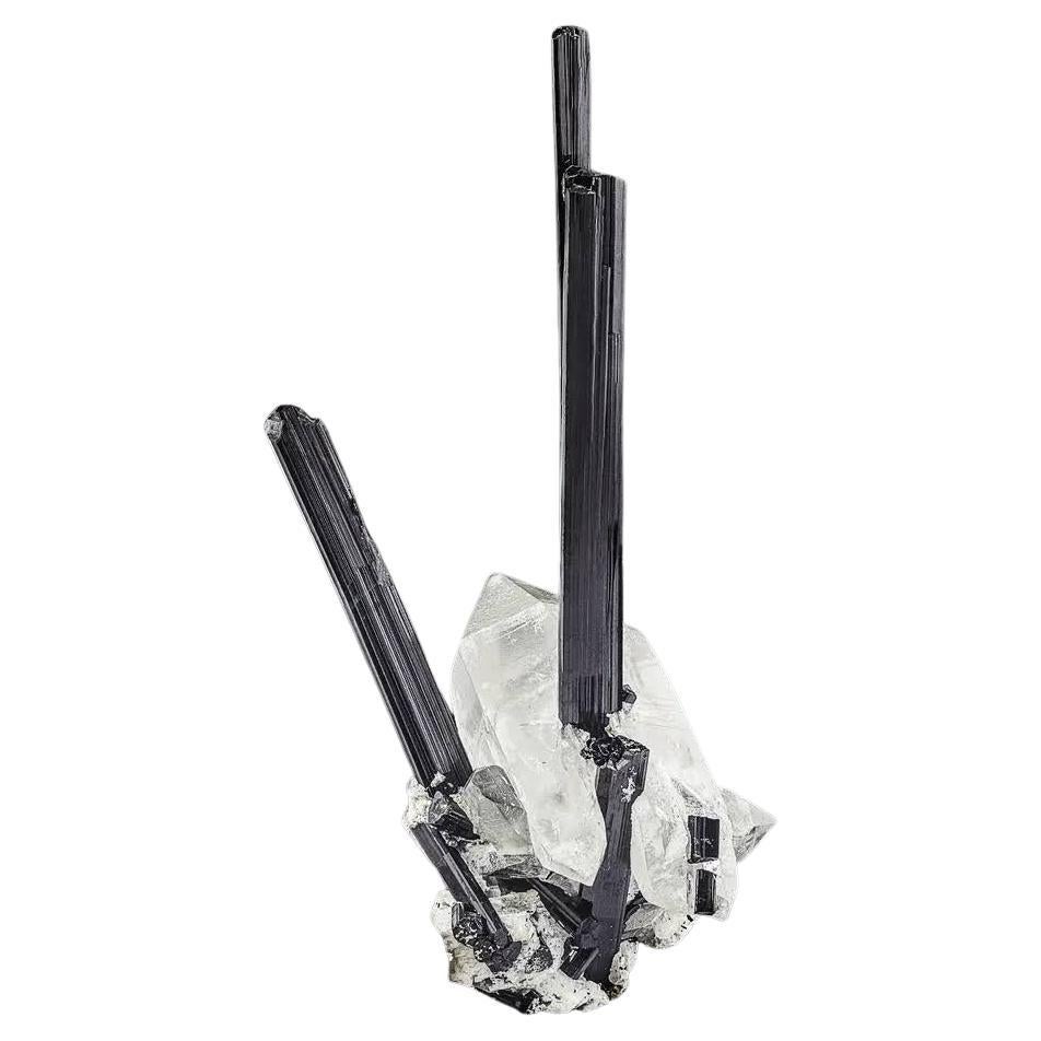 Natural Specimen Schorl Black Tourmaline Crystals on Quartz from Pakistan