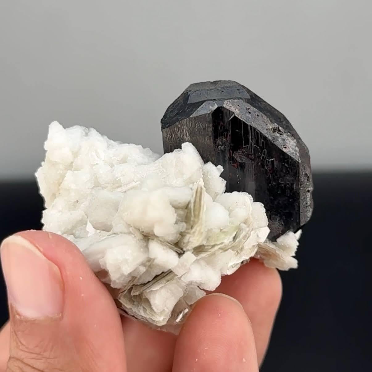 Tipo de espécimen: Tantalita con Moscovita
Peso: 93 gramos
Dimensiones: Alto: 4,5 x Ancho: 5,7 x Fondo: 5,5 cm 
Origen: Dara I Pech, distrito de Chappa Dara, provincia de Kunnar, Afganistán. 
Tratamiento: Ninguno




Este exquisito espécimen mineral