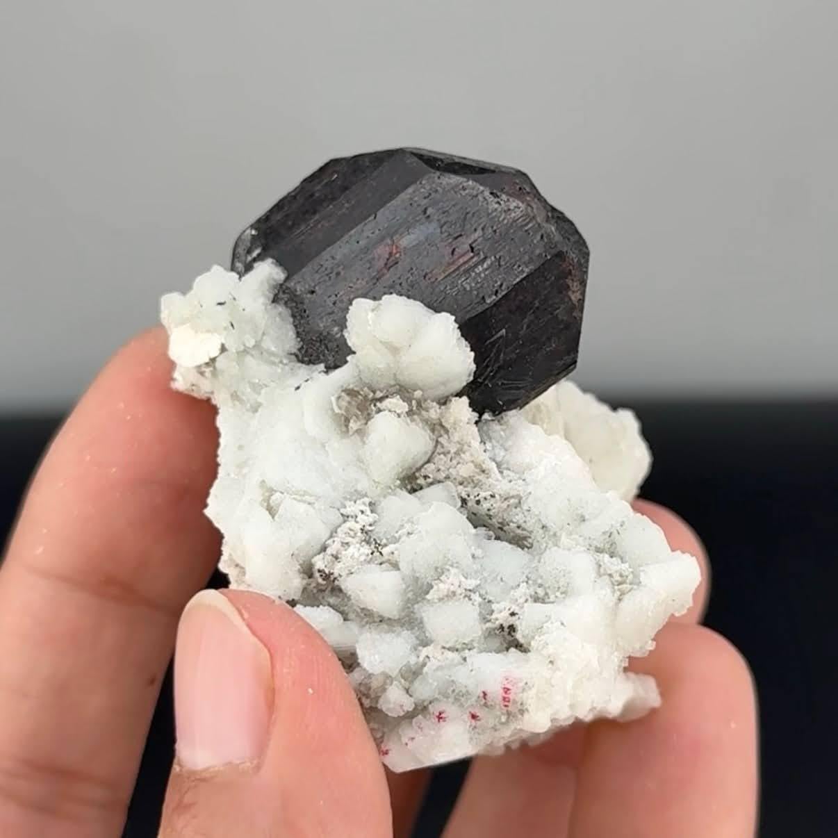 Espécimen natural de tantalita con moscovita en matriz procedente de Afganistán Afgano en venta