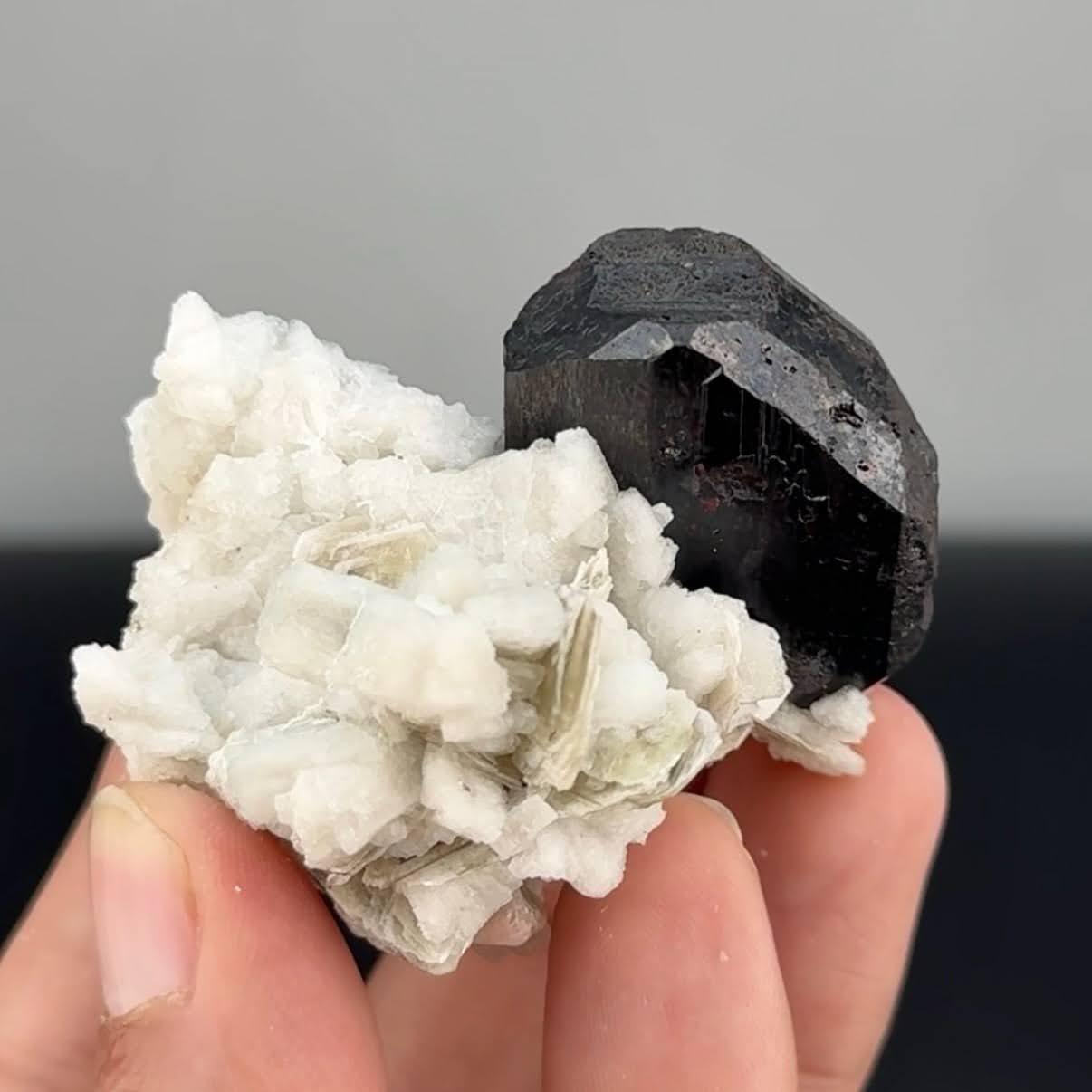 Espécimen natural de tantalita con moscovita en matriz procedente de Afganistán Siglo XXI y contemporáneo en venta