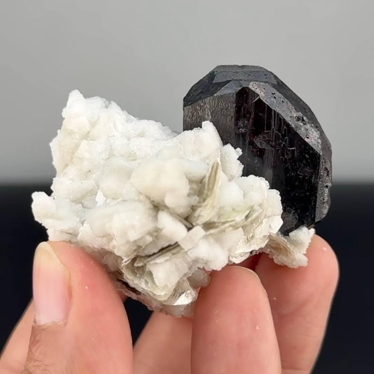 Espécimen natural de tantalita con moscovita en matriz procedente de Afganistán Cristal de roca en venta