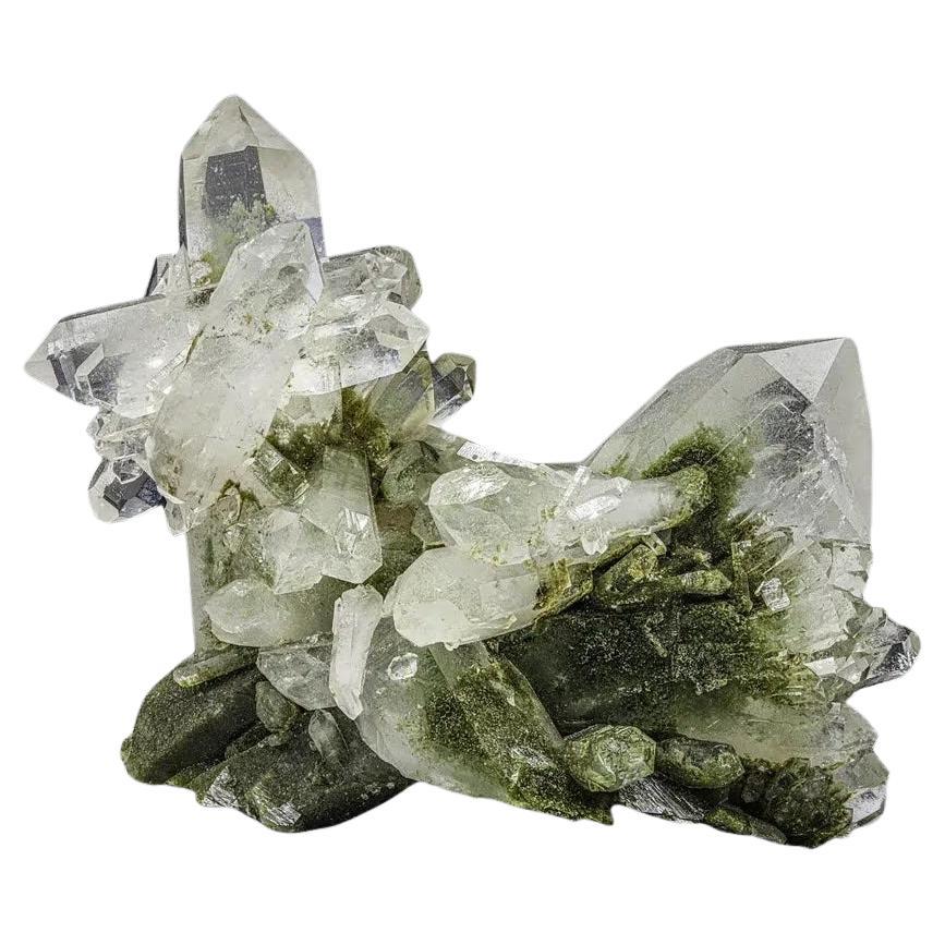 Natural Specimen Terminated Chlorite Quartz Cluster with Luster from Pakistan