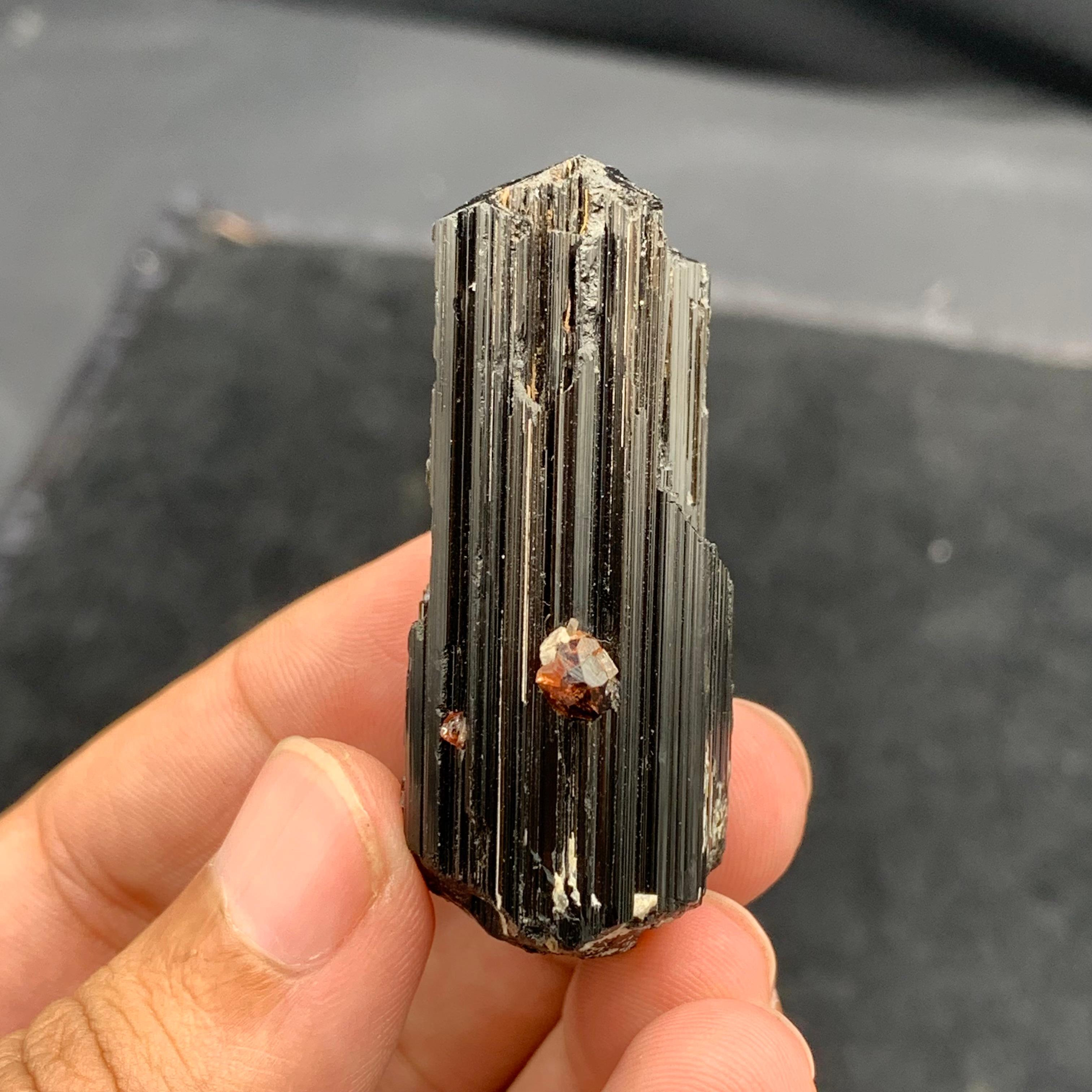 Natural Spessartine Garnet Attached With black Tourmaline Crystal For Sale 4
