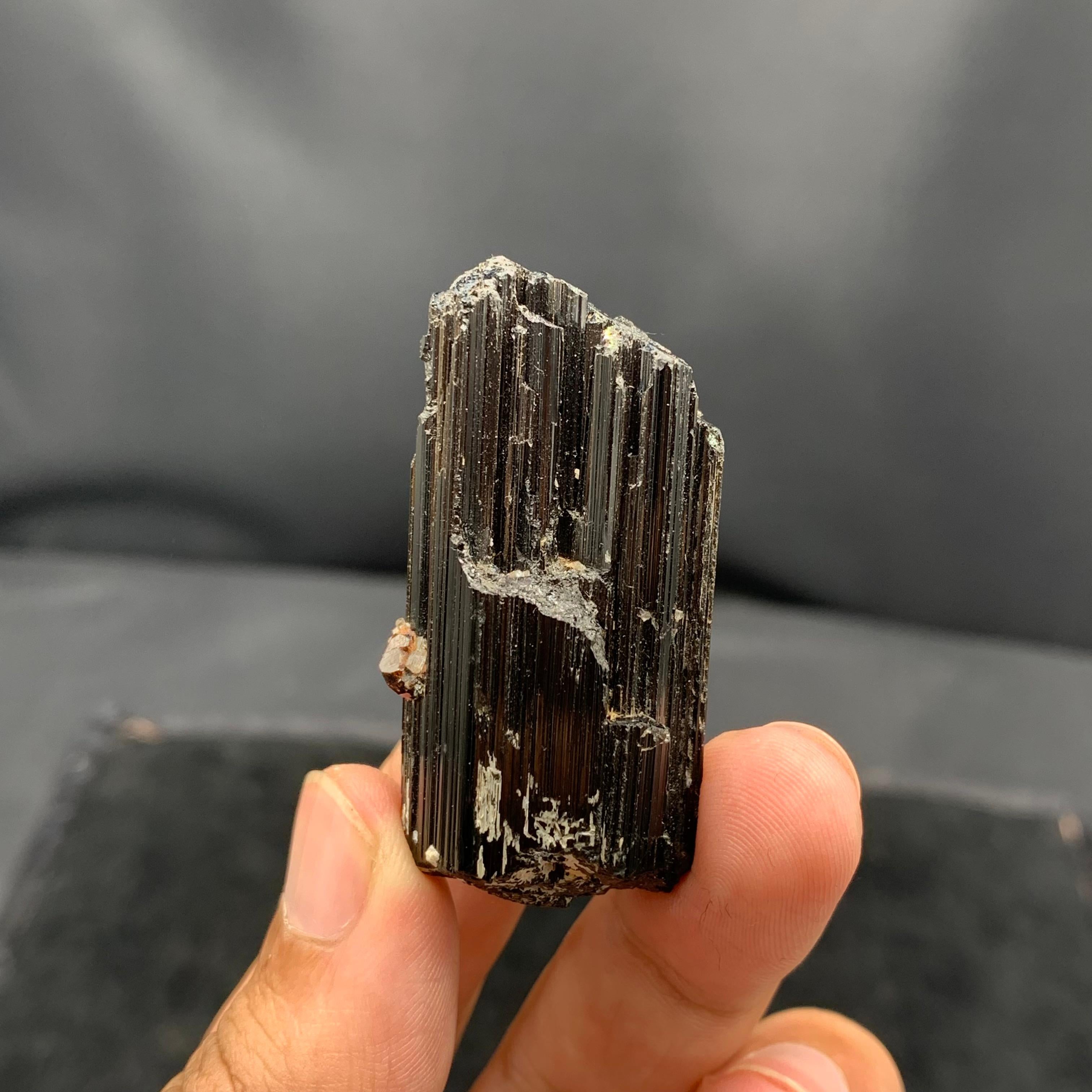 Natural Spessartine Garnet Attached With black Tourmaline Crystal For Sale 10
