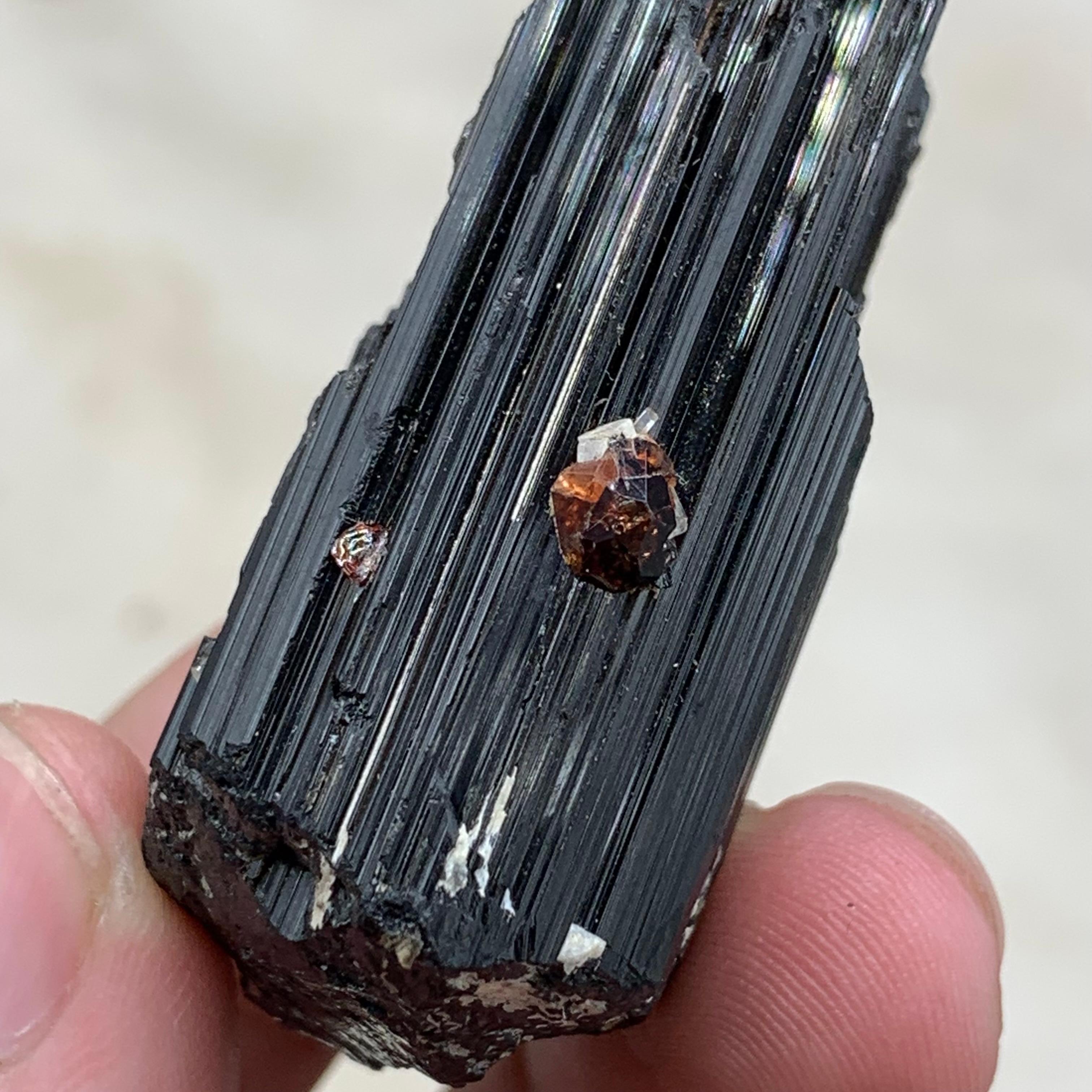 Adam Style Natural Spessartine Garnet Attached With black Tourmaline Crystal For Sale