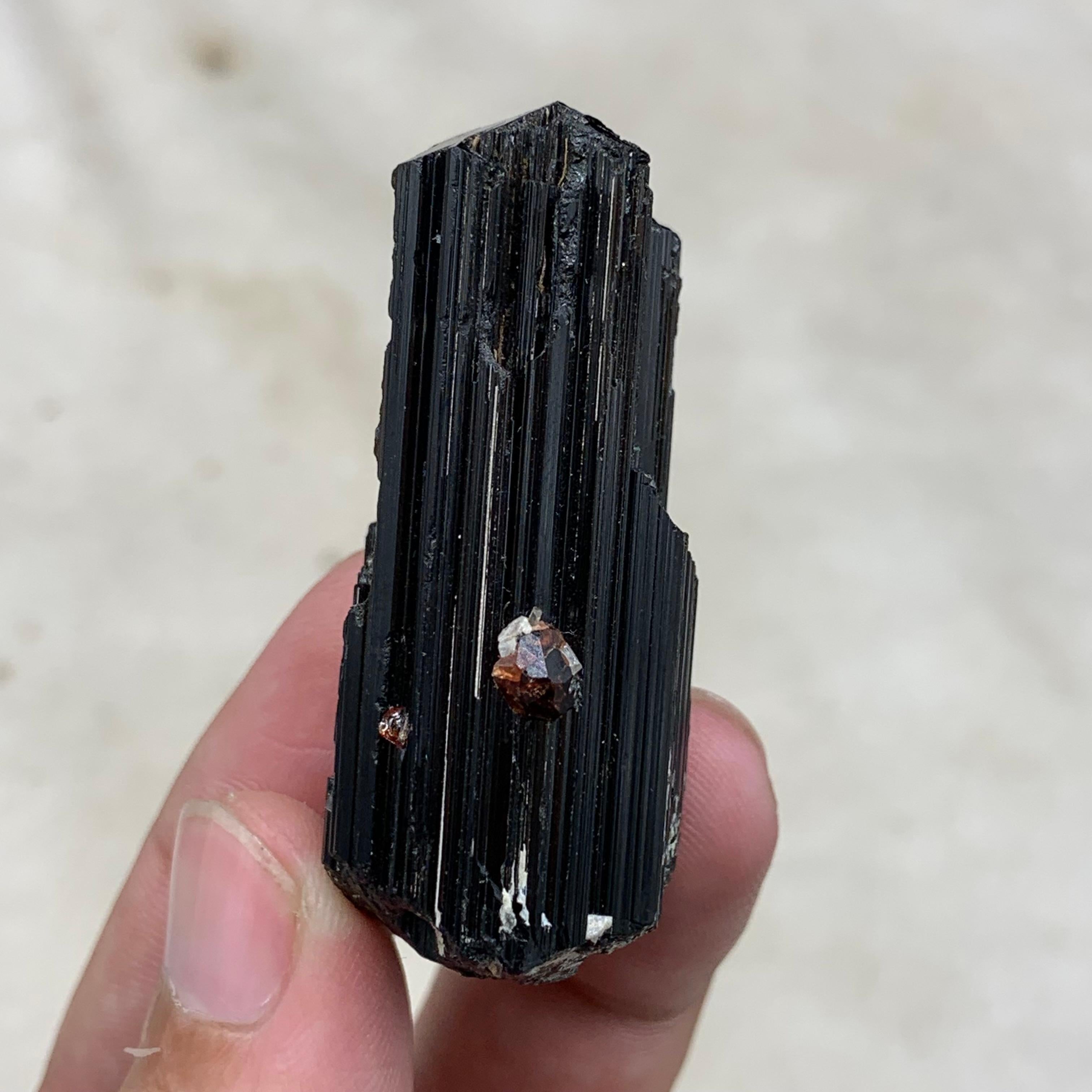Natural Spessartine Garnet Attached With black Tourmaline Crystal For Sale 1