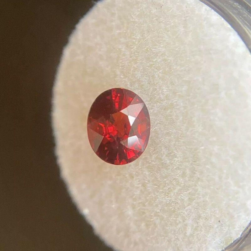 Natural Spessartine Garnet Vivid Orange Red 1.79ct Oval Cut Loose Gem

Natural Spessartine Garnet Loose Gemstone. 
1.79 carat stone with a beautiful reddish orange colour and good clarity. Some small natural inclusions visible when looking closely,