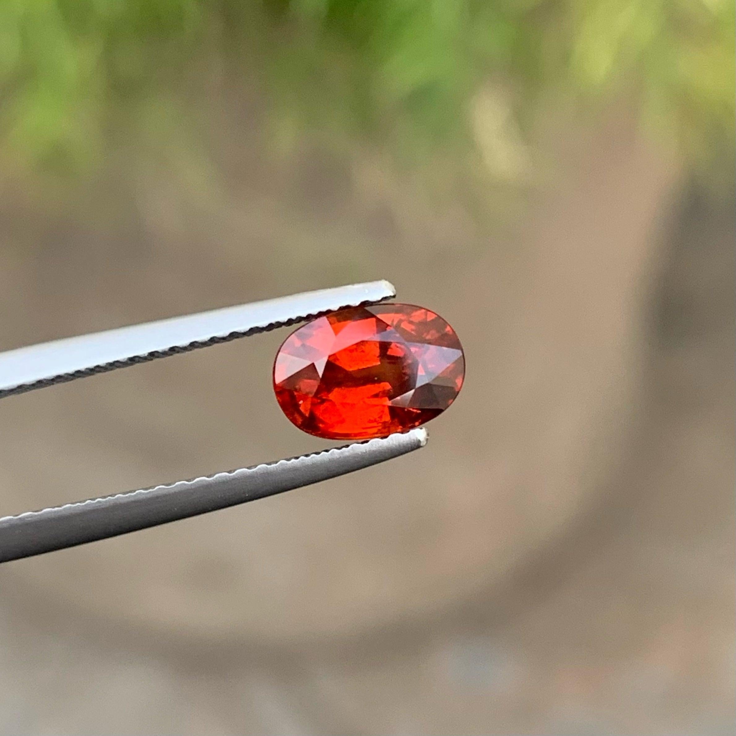 Natural Spessartite Loose Garnet Gemstone of 1.65 carats from Namibia has a wonderful cut in a Oval shape, incredible Red color, Great brilliance. This gem is VS Clarity.

Product Information:
GEMSTONE NAME: Natural Spessartite Loose Garnet