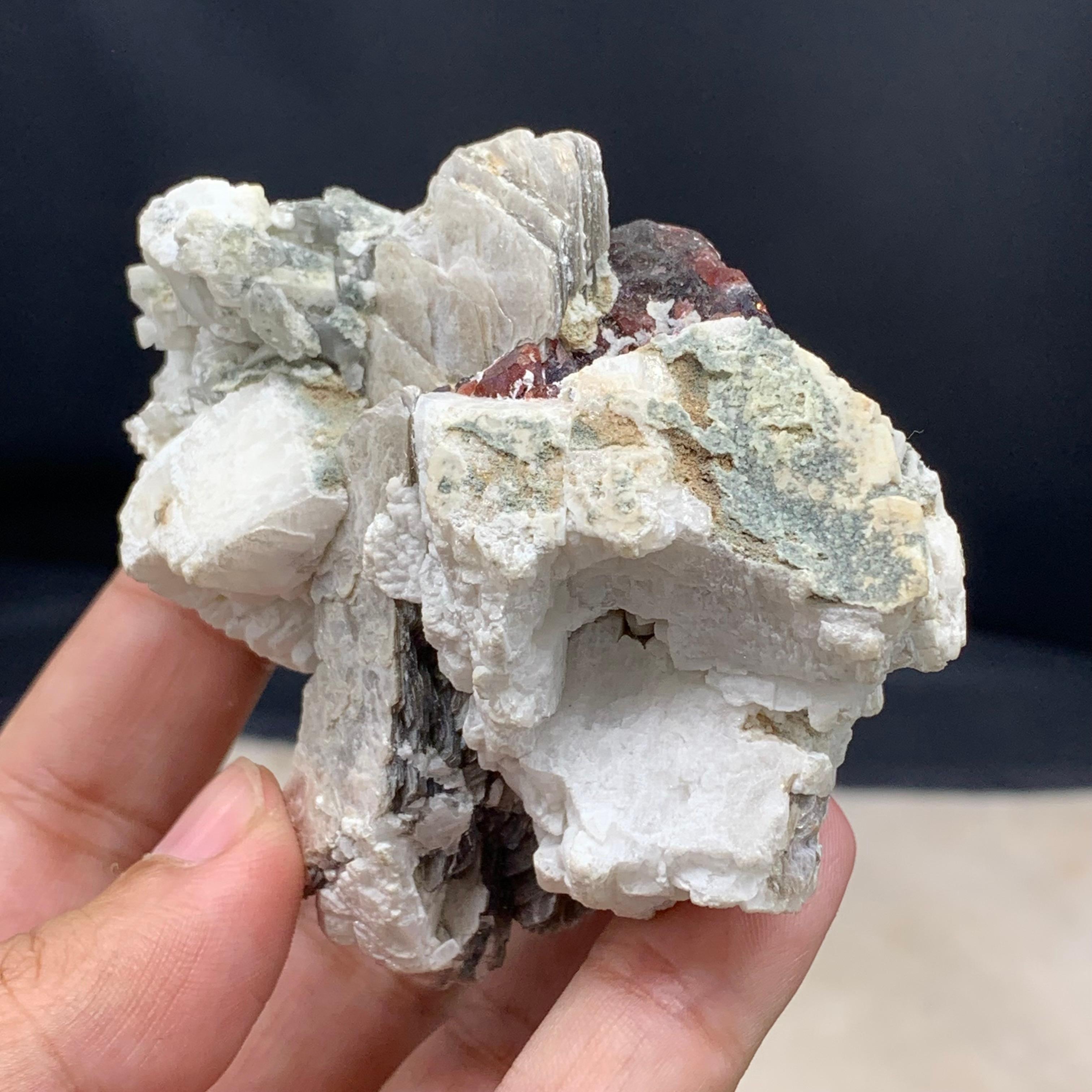 INFORMAZIONI SUL PRODOTTO:

Tipo di campione: Granato Spessartite e Muscovite attaccato con Matrix 
Peso: 210 grammi
Dimensioni: H. H. 8 x L. 5.7 x P. 6.6 Cm
Origine: Afghanistan 
Trattamento: Nessuno

DESCRIZIONE: 

Un granato Spessartite con