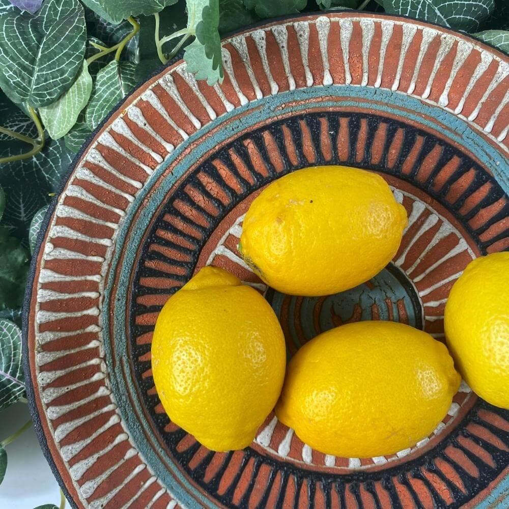 French Natural style Organic samot bowl from Europe ca. 1960