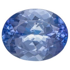 Tanzanite naturelle ovale AA 12 x 10 mm, pierre de naissance de décembre 5,50 carats