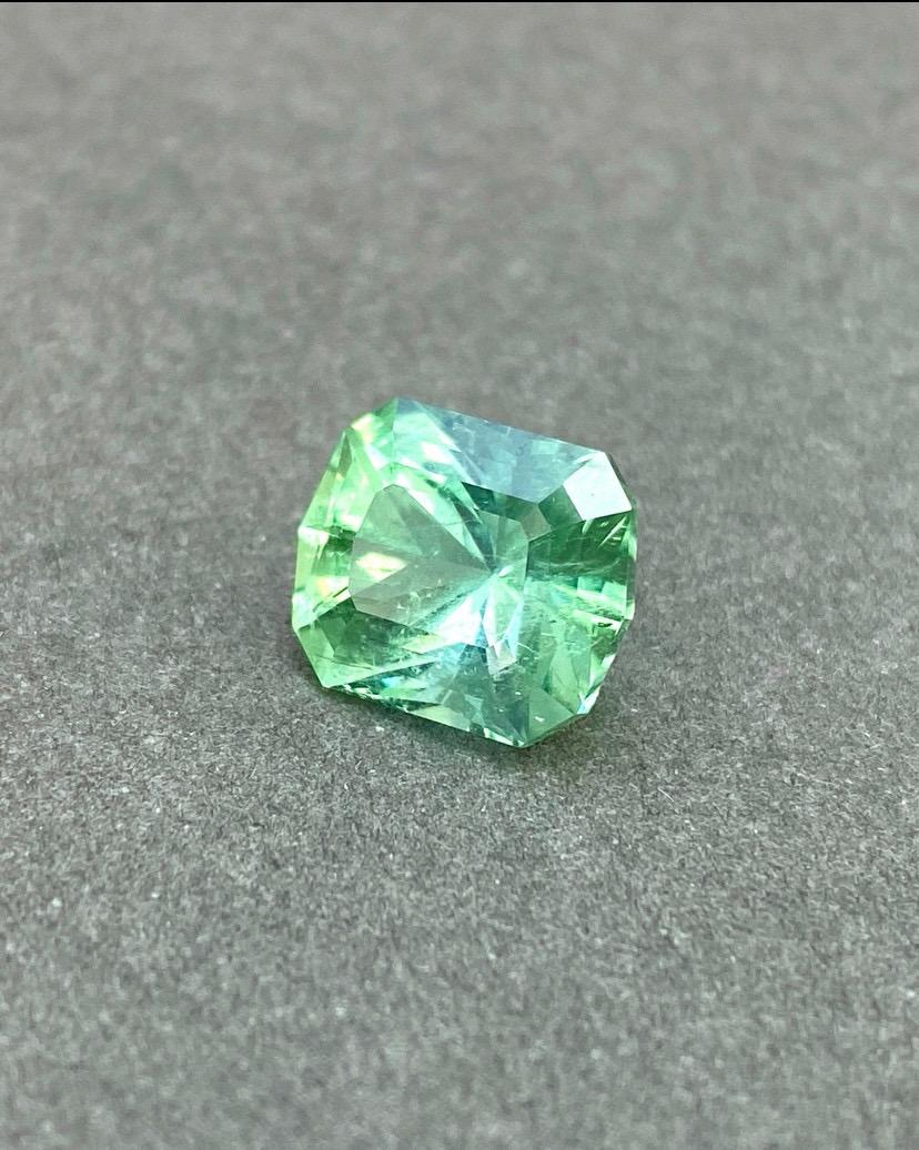 TMA15
Tourmaline naturelle Afghanistan vert brillant Coupe de précision couleur principale verte positive sans jaune grisâtre 

Nom de la pierre : Tourmaline

Poids : 6,21 ct

Couleur : Vert

Clarté : 90

Origine : Afghanistan

Coupe :