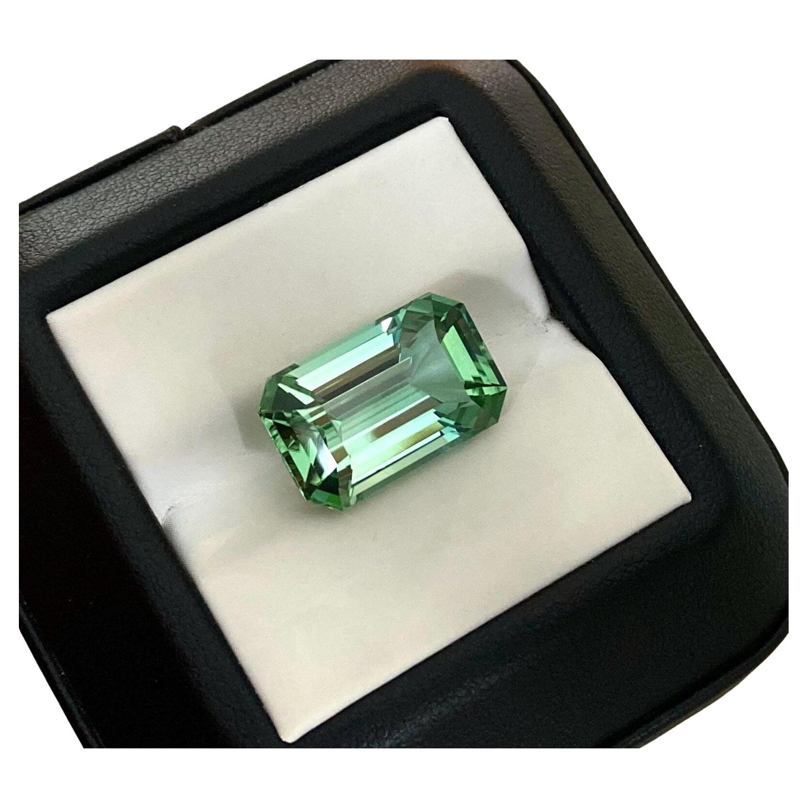 Tourmaline naturelle pierre en vrac 11.71 ct, taille octogonale, couleur vert menthe, Origine Nigeria, Certificat GFCO
Certifié par le laboratoire GFCO
Couleur de la pierre : Vert jaunâtre
Type de pierre précieuse : Tourmaline vert menthe
Taille de
