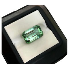 Natural Tourmaline loose gemstone 11.71 ct. Octagon cut, Certificate, Mint Green