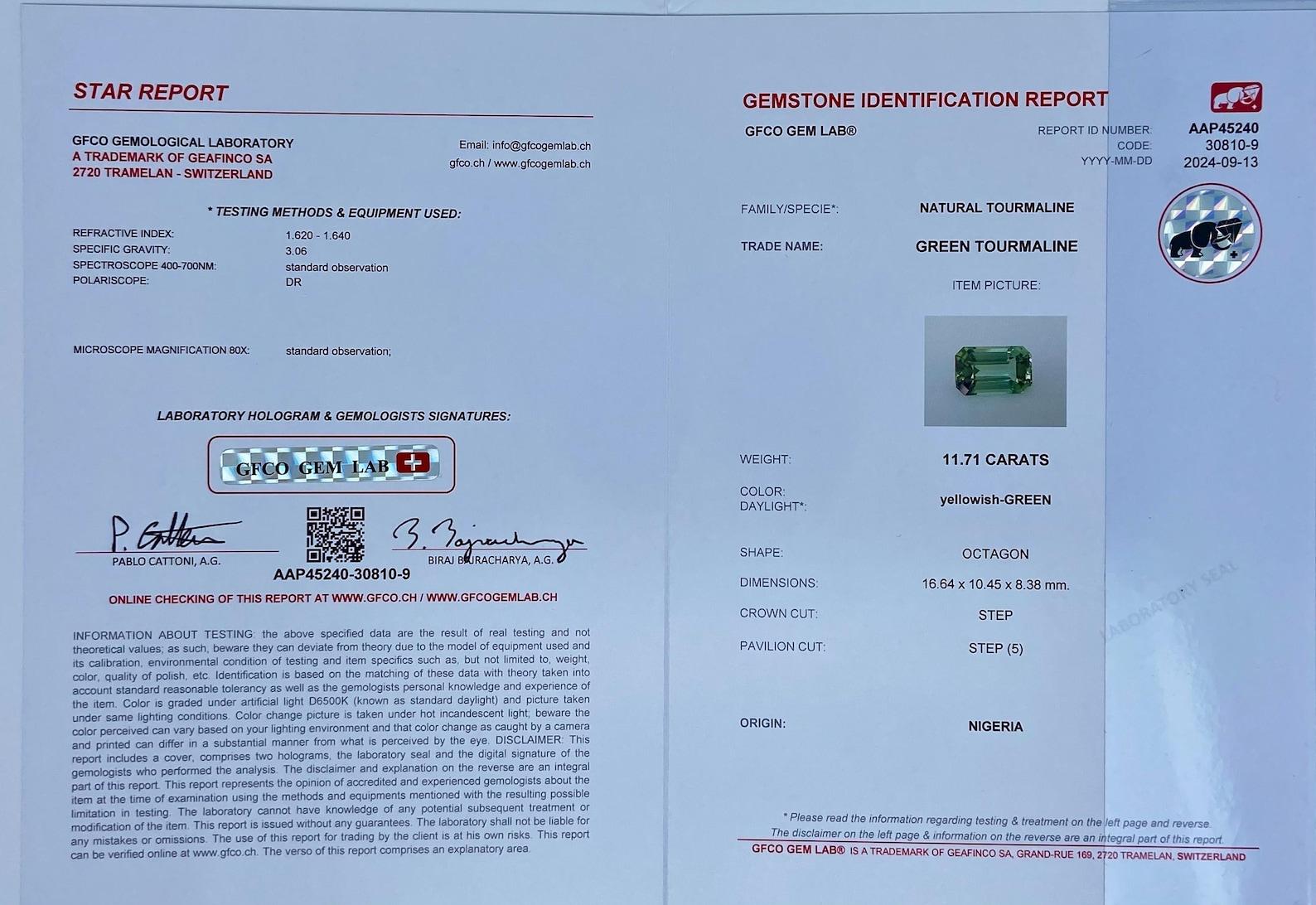 Tourmaline naturelle non sertie de 11,71 carats Taille octogonale, certificat vert menthe Neuf - En vente à Daugavpils, LV