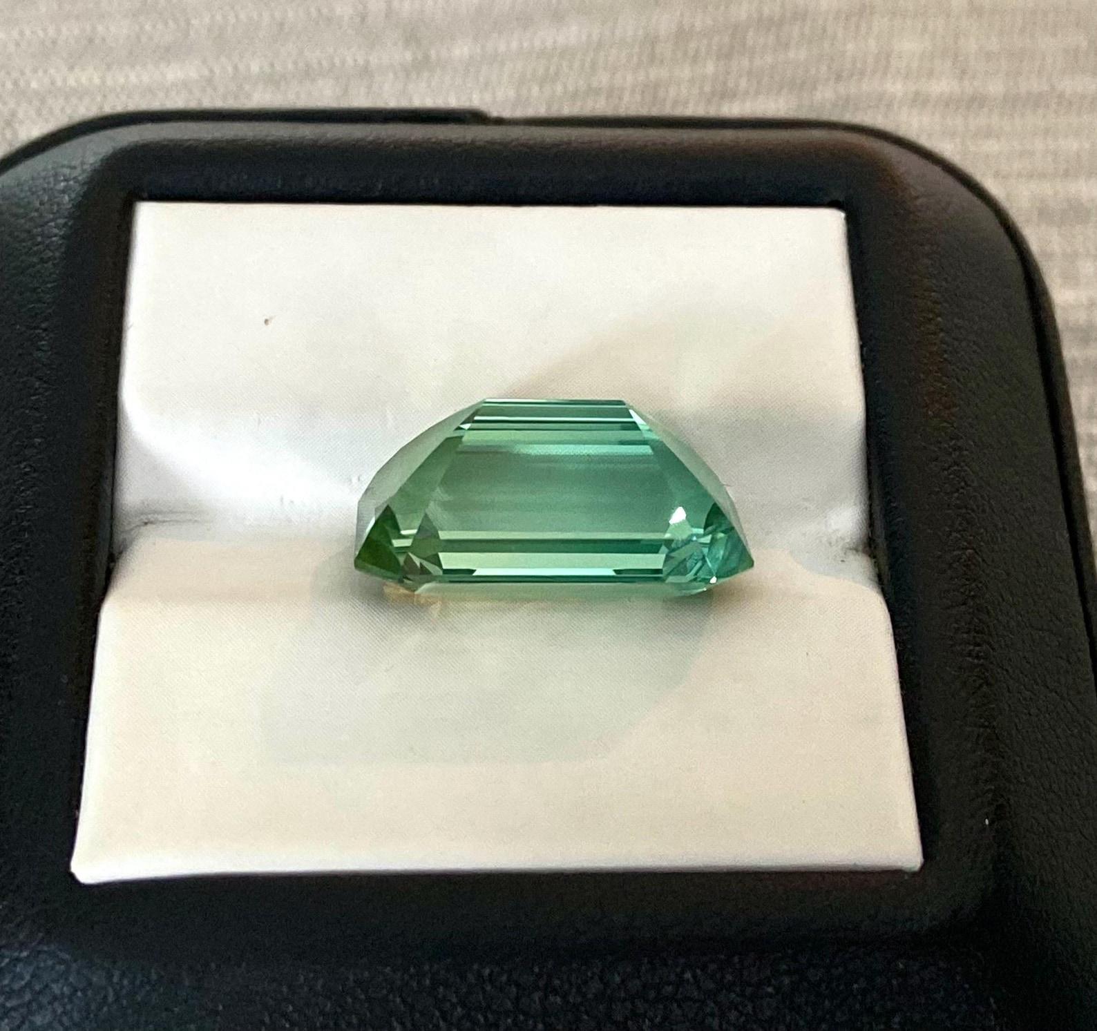 Tourmaline naturelle non sertie de 11,71 carats Taille octogonale, certificat vert menthe Unisexe en vente